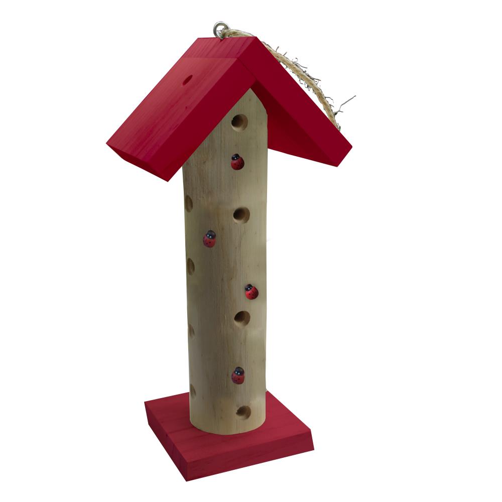 TOUR A COCCINELLES PIN