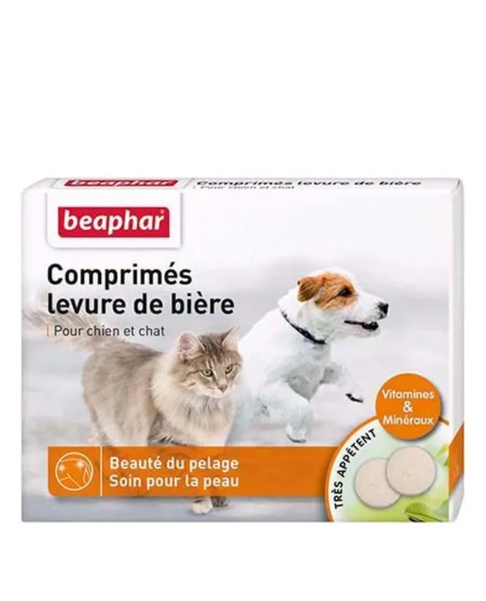 COMPRIMES LEVURE DE BIERE X100