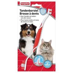 BROSSE A DENTS CHIEN ET CHAT