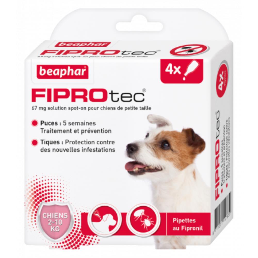 PIPETTES FIPROTEC PETIT CHIEN X4