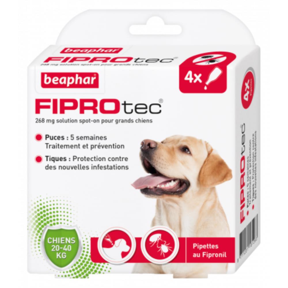 PIPETTES FIPROTEC GRAND CHIEN X4