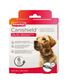 COLLIER CANISHIELD GRAND CHIEN