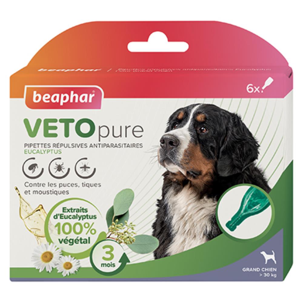 PIPETTE GRAND CHIEN VETOPURE