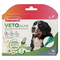 PIPETTE GRAND CHIEN VETOPURE