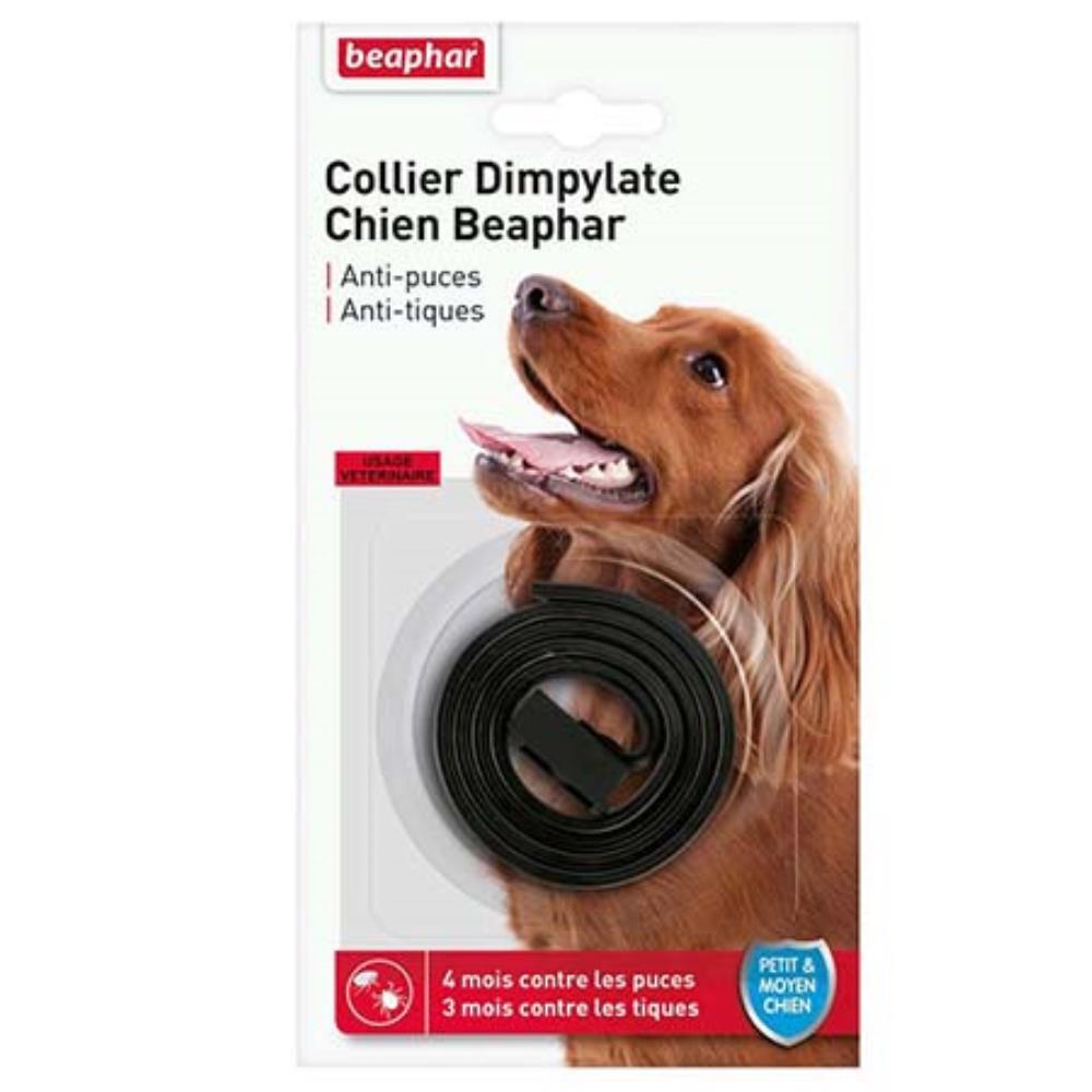 COLLIER DIMPYLATE CHIEN MARRON