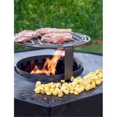 GRILLE DE SAISIE DIAMETRE 36CM NESTOR