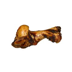 OS DE BOEUF GÉANT XXL
