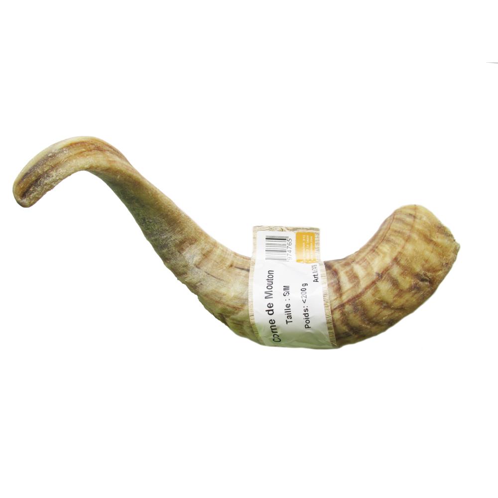 CORNE DE MOUTON