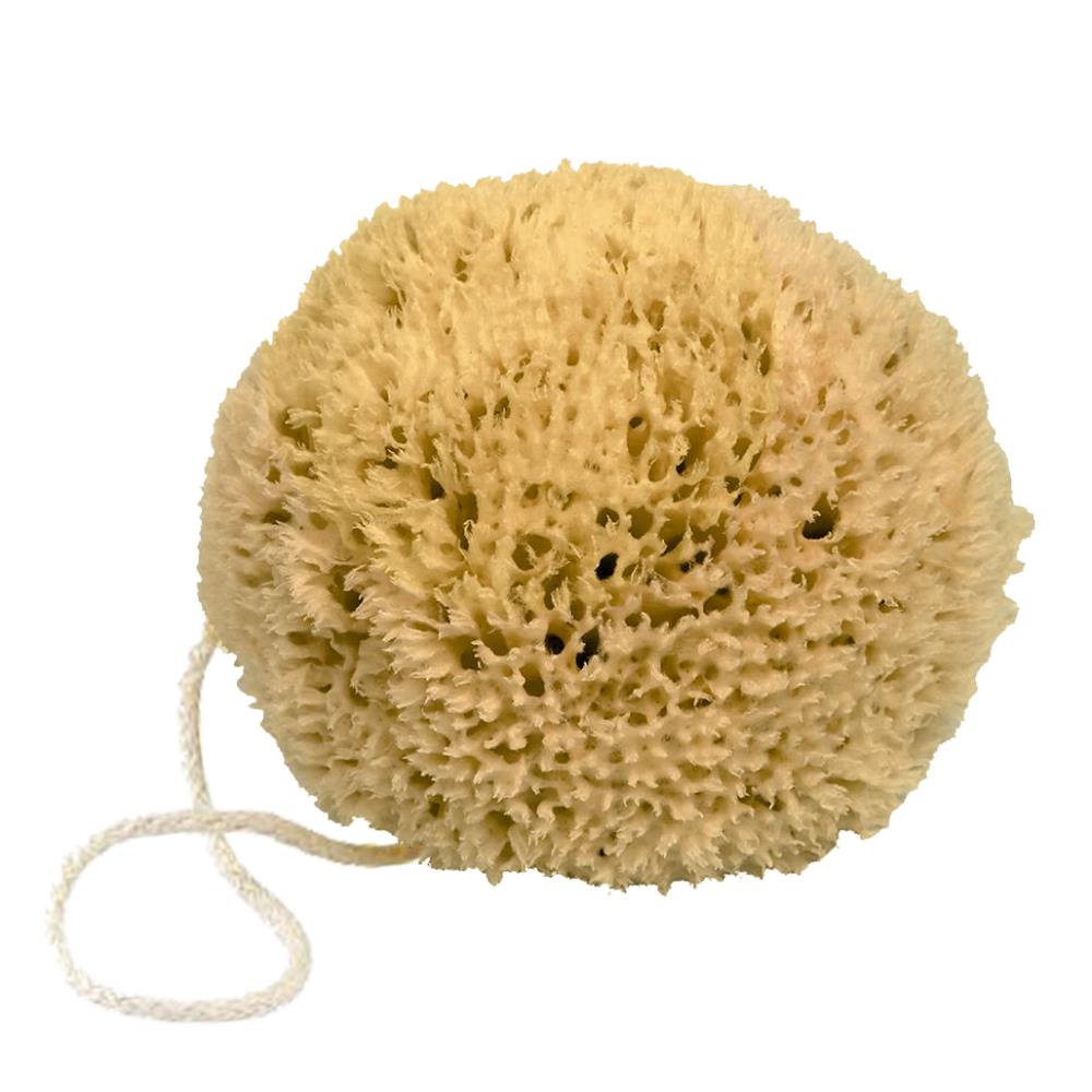 EPONGE NATURELLE