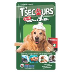 GUIDE PREMIERS SECOURS CHIEN DOMESTIQUE