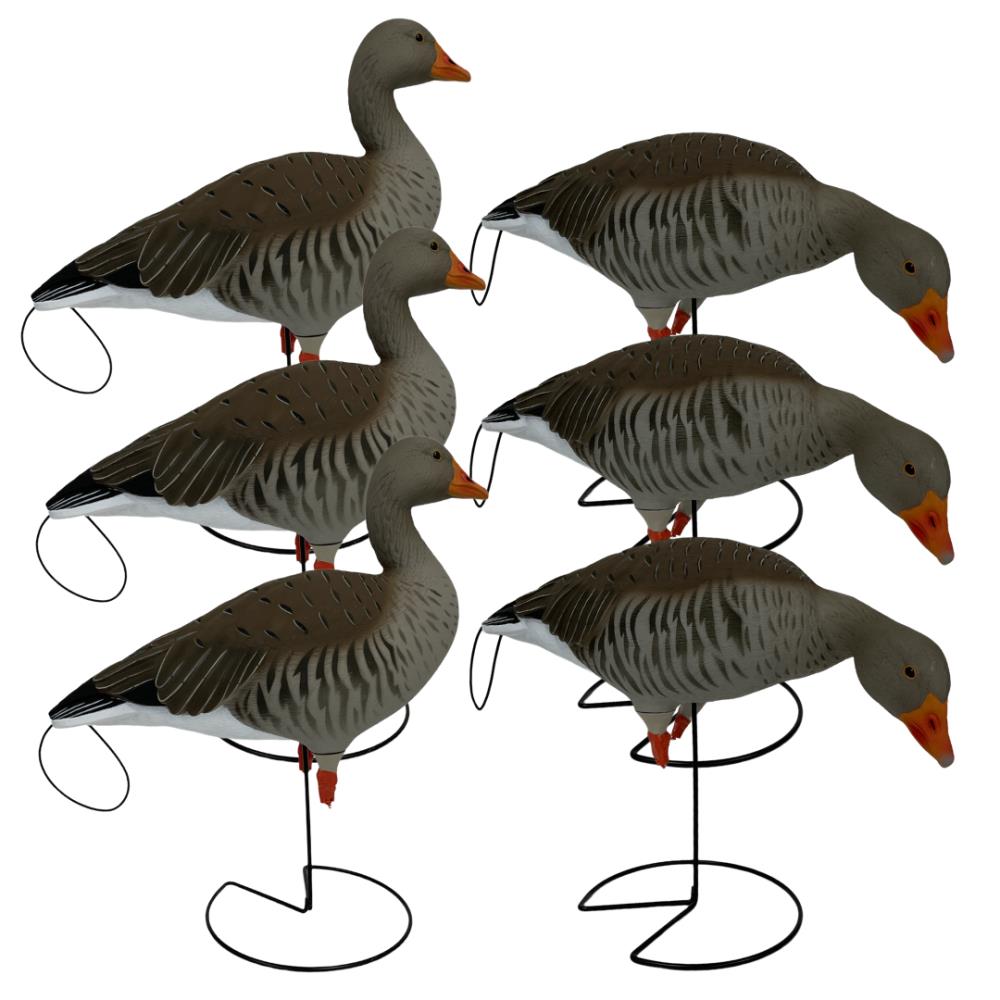 APPELANT OIE CENDREE PG SUR PIED X6