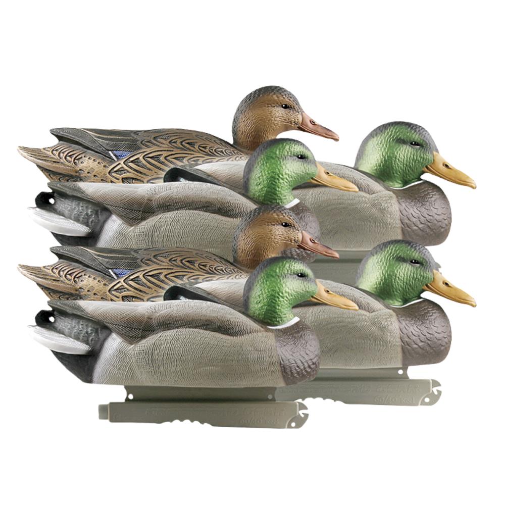 APPELANT COLVERT LIFE SIZE 4M+2F