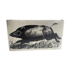 CIBLES 15X27 SANGLIER X100