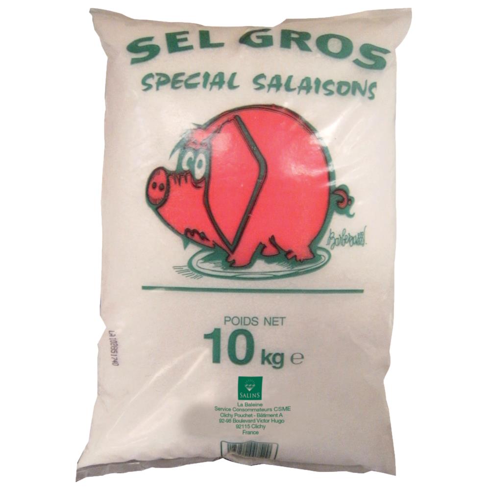 Sel de déneigement hivernal 10 kg - gros sel - SALINS - le Club
