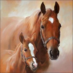 SERVIETTE CHEVAL AVC POULAIN