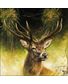 SERVIETTE PORTRAIT DE CERF