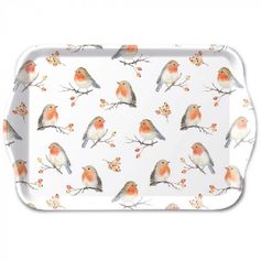 PLATEAU FAMILLE DOISEAUX