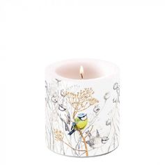 BOUGIE PETITS OISEAUX PM
