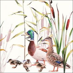 SERVIETTE COUPLE DE CANARDS
