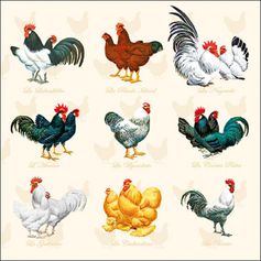 SERVIETTE POULES COQS