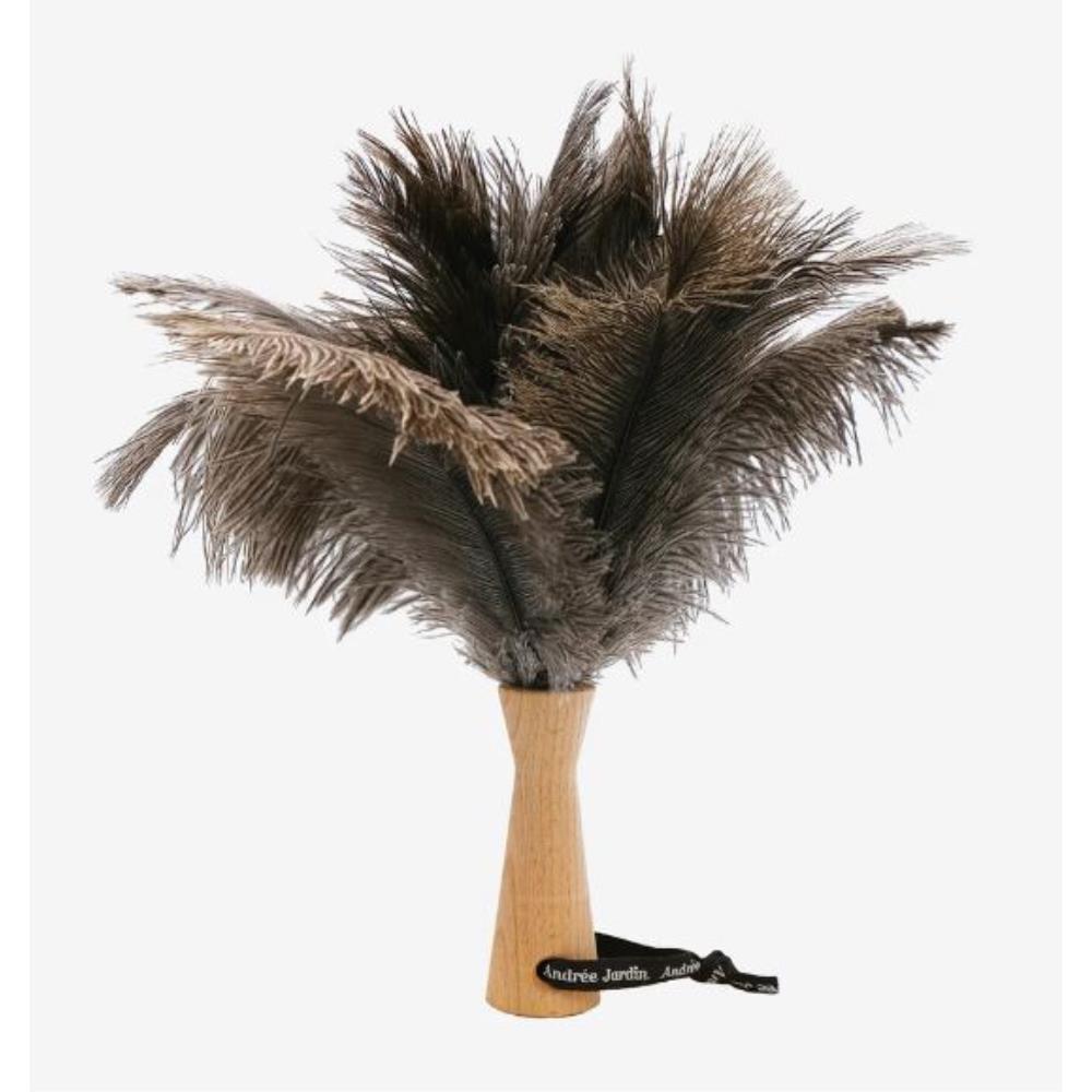 PETIT PLUMEAU A MAIN