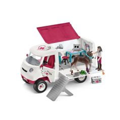 VÉTÉRINAIRE MOBILE AVEC POULAIN HANOVRIEN