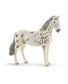 FIGURINE JUMENT KNABSTRUPPER