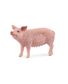 FIGURINE COCHON