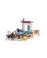 BOX POUR CHEVAL AVEC JUMENT ET POULAIN