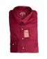 CHEMISE FEM LAUREN VELOURS BORDEAUX