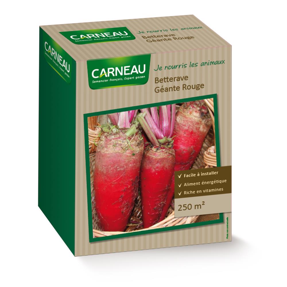 BETTERAVE GEANTE ROUGE 0,25 KG