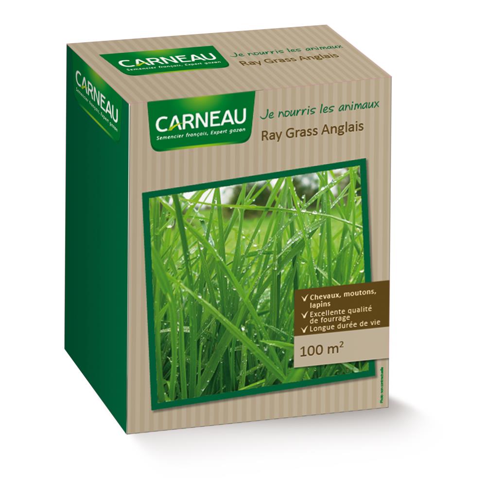 RAY GRASS ANGLAIS 0,5 KG