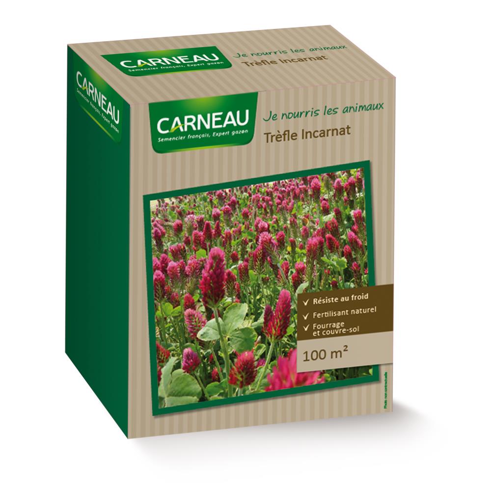 TREFLE INCARNAT 0,5 KG