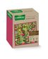 JACHERE FLORALE 0,52 KG