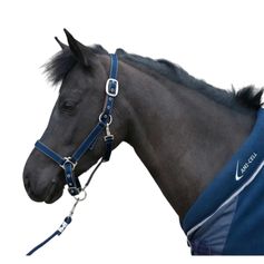 LICOL BREAKAWAY YEARLING MARINE