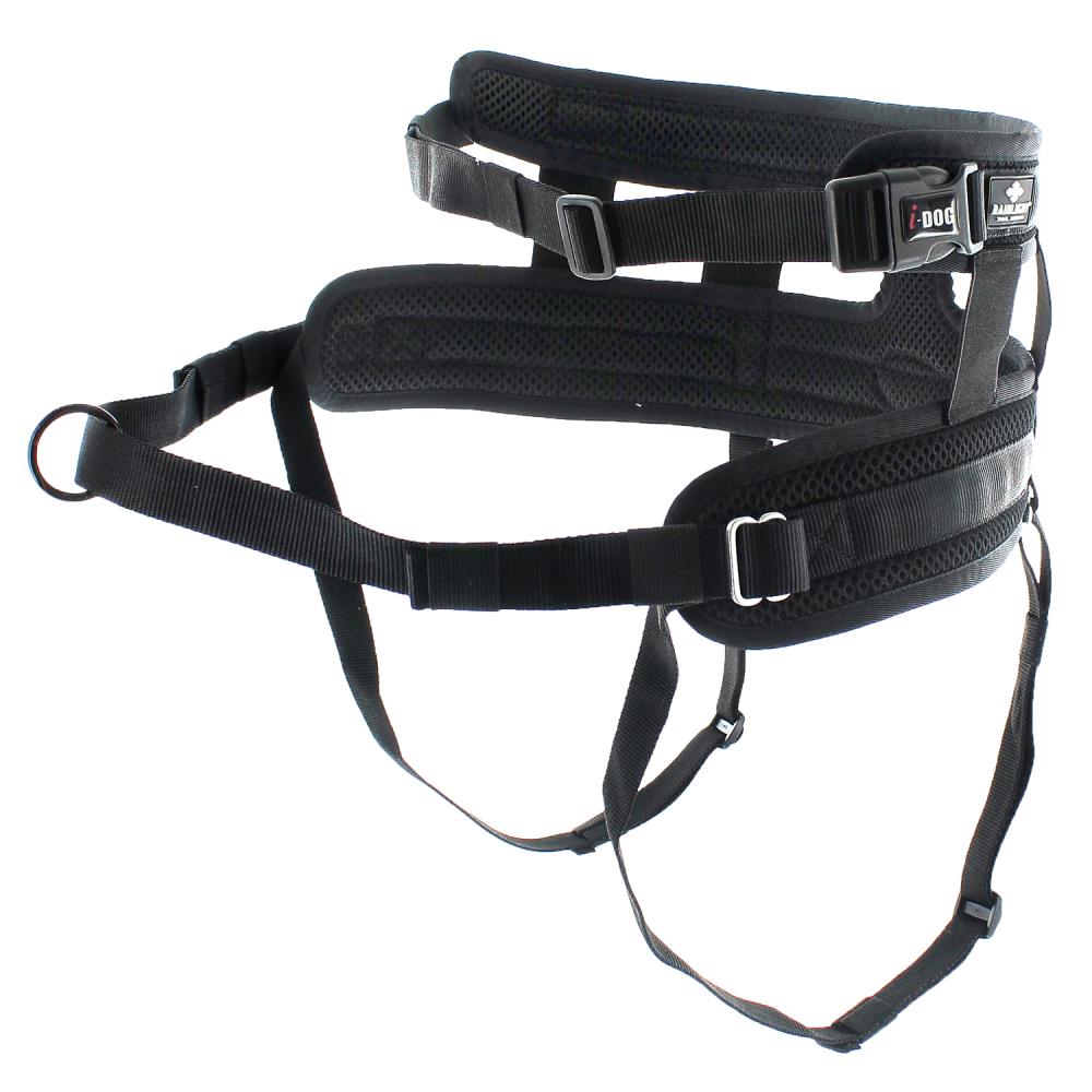 BAUDRIER CANI-TRAIL RAIDLIGHT