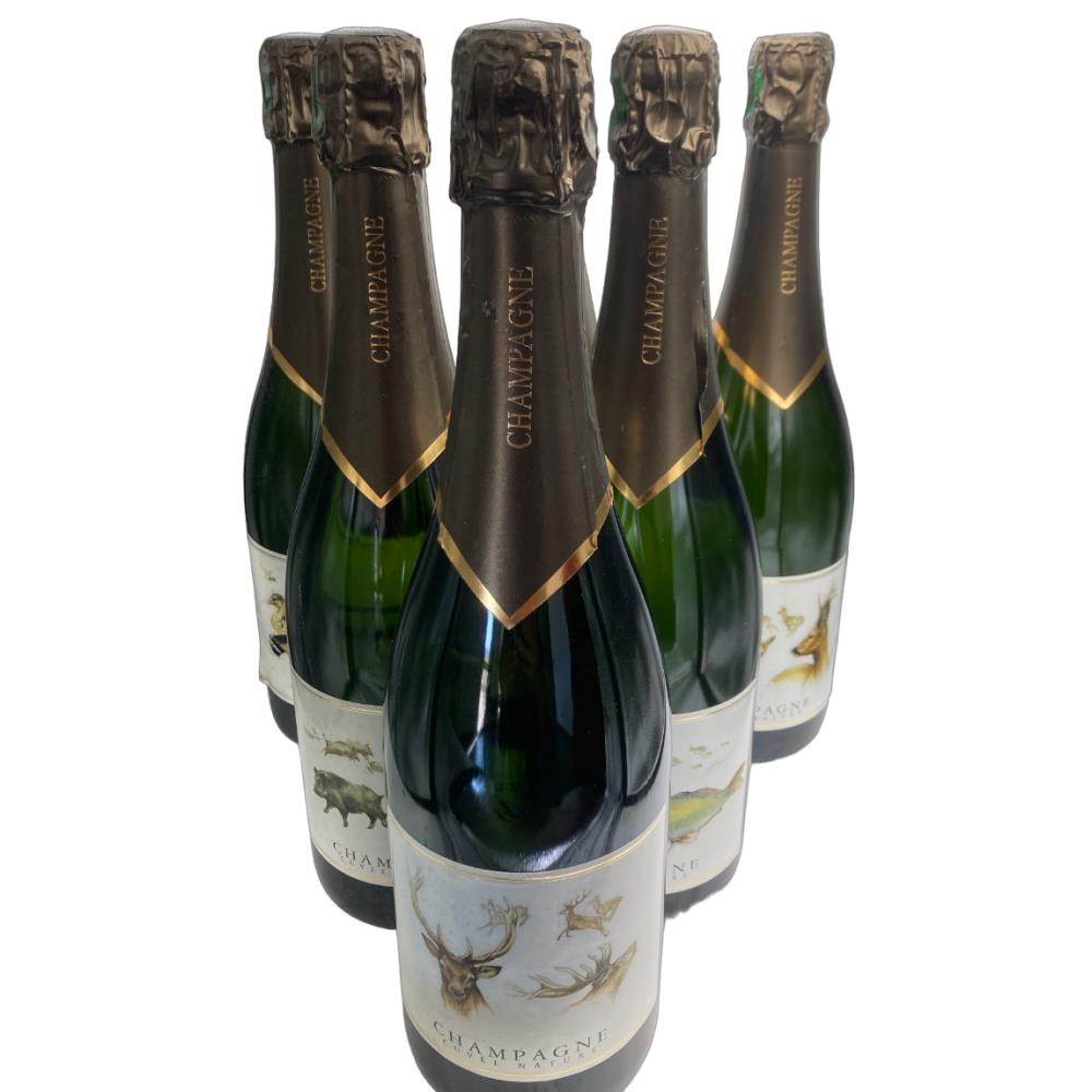 CARTON X6 COLLECTION DE BOUTEILLES DE CHAMPAGNES
