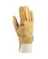 GANTS CHENE