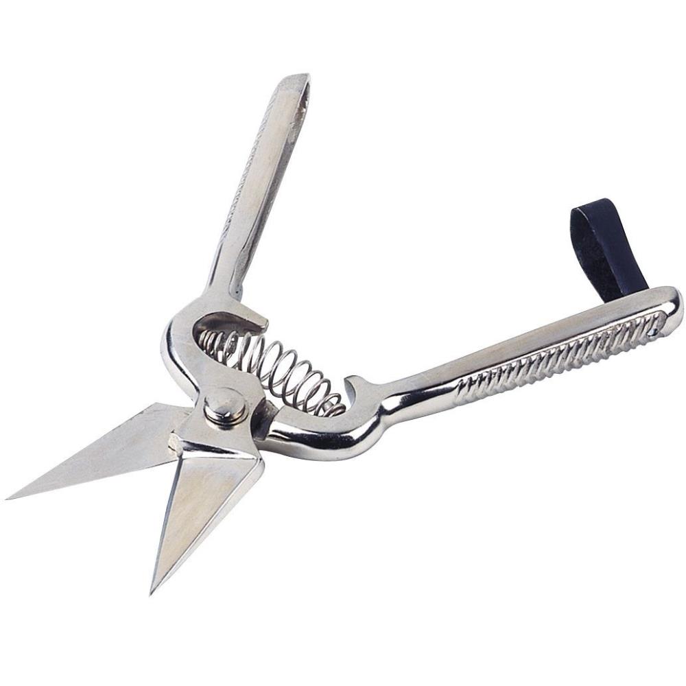 CISAILLE ONGLONS POUR MOUTON