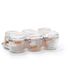 TERRINE LPS 500 GR D100 X6