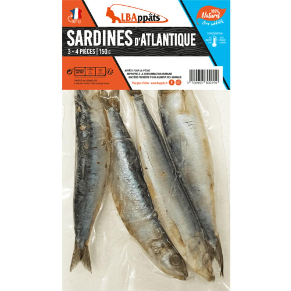 SARDINE ATLANTIQUE CONGELEE X4