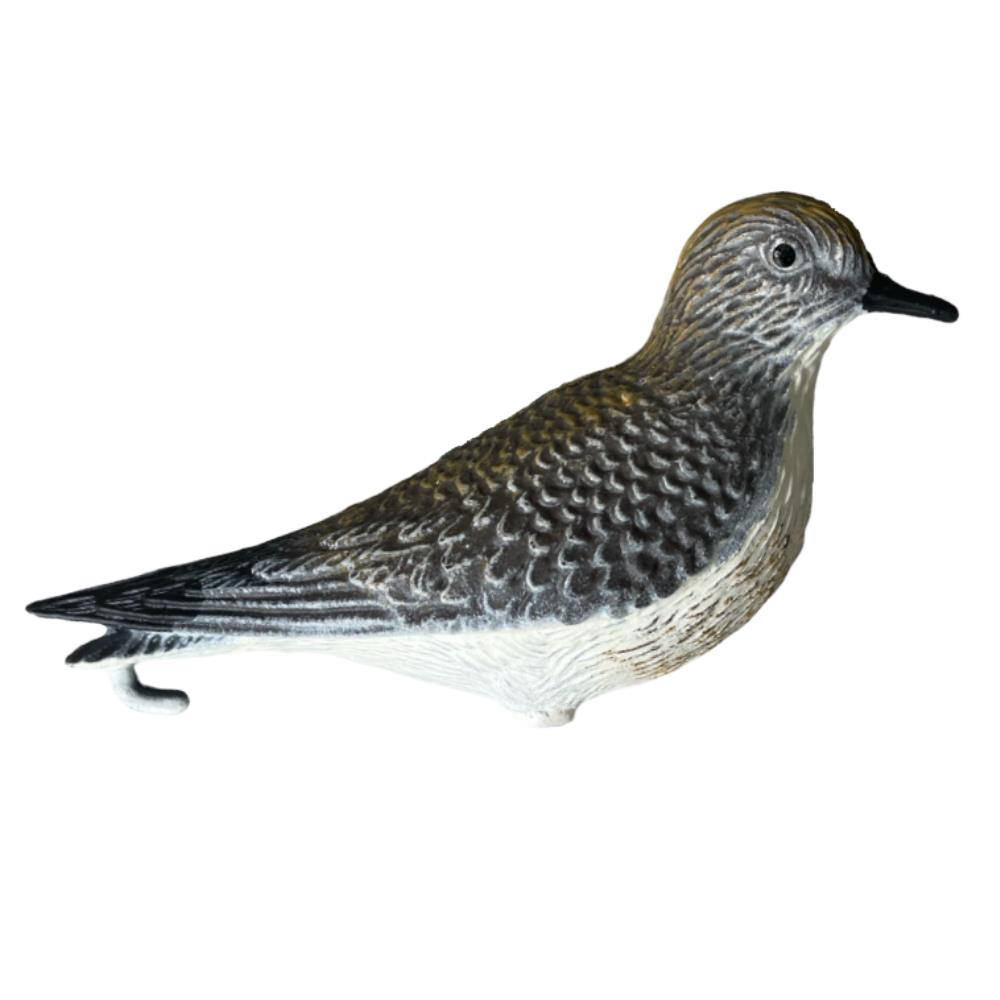 APPELANT PLUVIER DORE