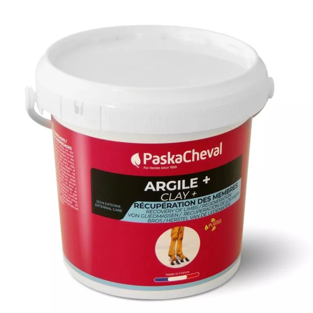 ARGILE + SEAU 1.5KG