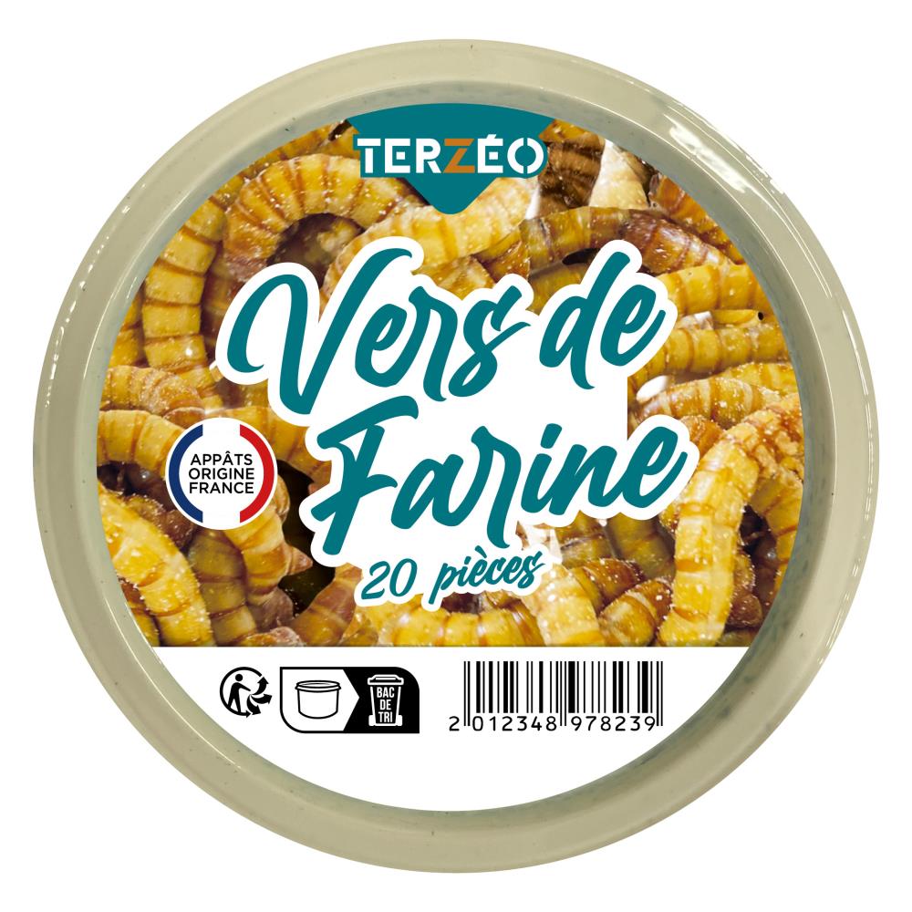 VERS DE FARINE GROS BOITE X20