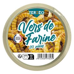 VERS DE FARINE GROS BOITE X20
