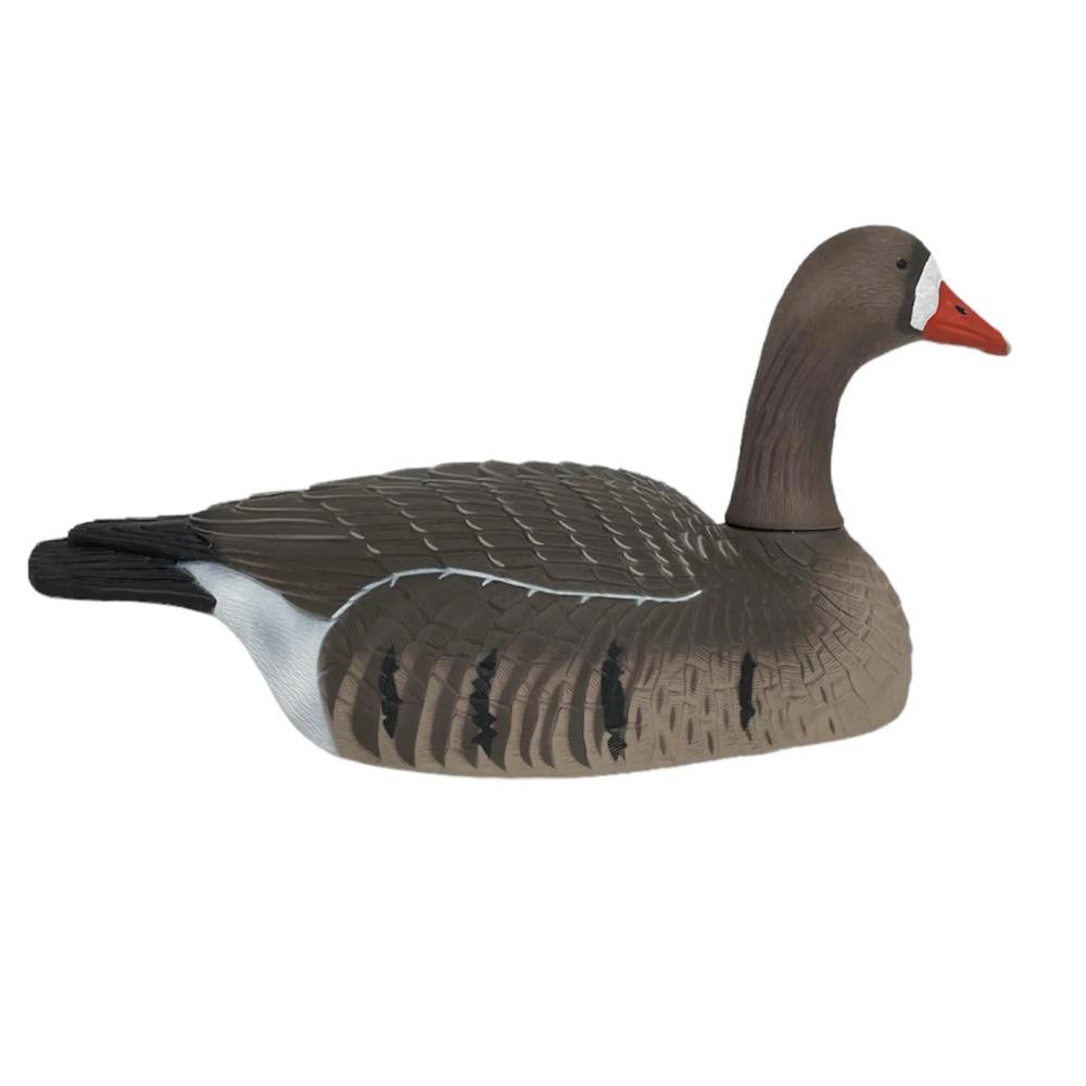 COQUILLE OIE RIEUSE HD GAGNAGE