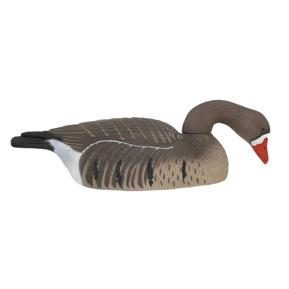 COQUILLE OIE RIEUSE HD MANGEUSE