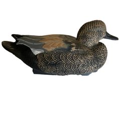 APPELANT CHIPEAU MALE HD