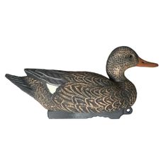 APPELANT CHIPEAU FEMELLE HD