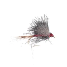 SELECTION CHARNOZ H16